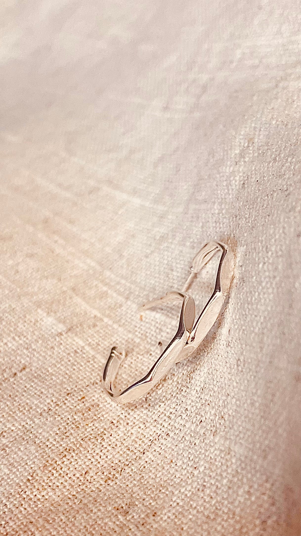 Hammered Hoops
