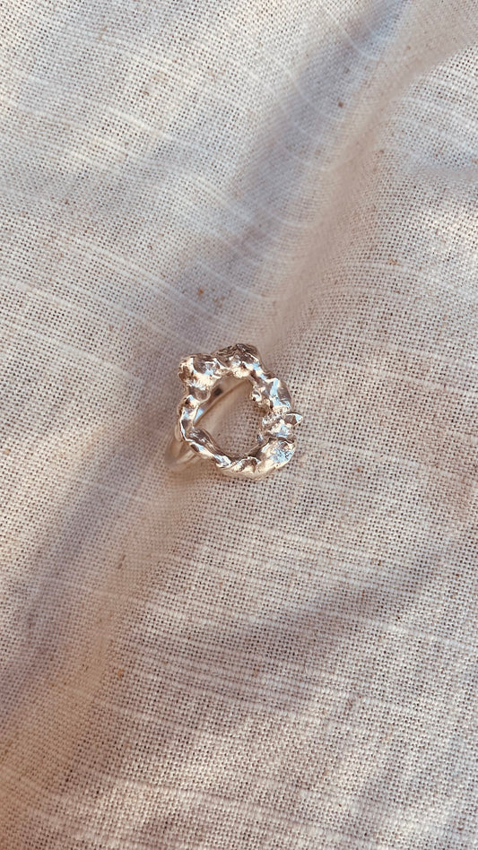 Fluid ring