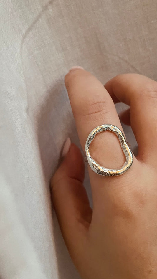 Private Commission - Size T