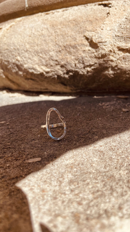 Fluid Ring